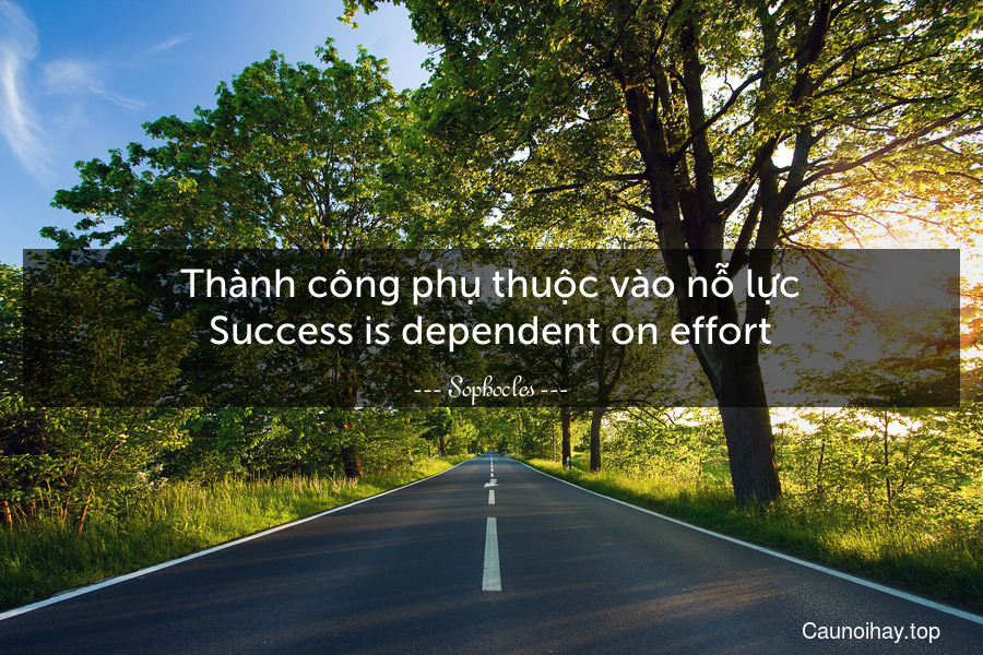 Thành công phụ thuộc vào nỗ lực.
Success is dependent on effort.