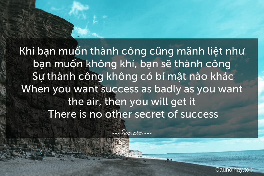 Khi bạn muốn thành công cũng mãnh liệt như bạn muốn không khí, bạn sẽ thành công. Sự thành công không có bí mật nào khác.
When you want success as badly as you want the air, then you will get it. There is no other secret of success.