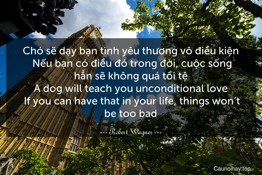Chó sẽ dạy bạn tình yêu thương vô điều kiện. Nếu bạn có điều đó trong đời, cuộc sống hẳn sẽ không quá tồi tệ.
A dog will teach you unconditional love. If you can have that in your life, things won’t be too bad.