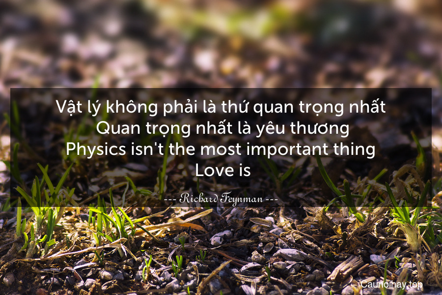 Vật lý không phải là thứ quan trọng nhất. Quan trọng nhất là yêu thương.
Physics isn't the most important thing. Love is.