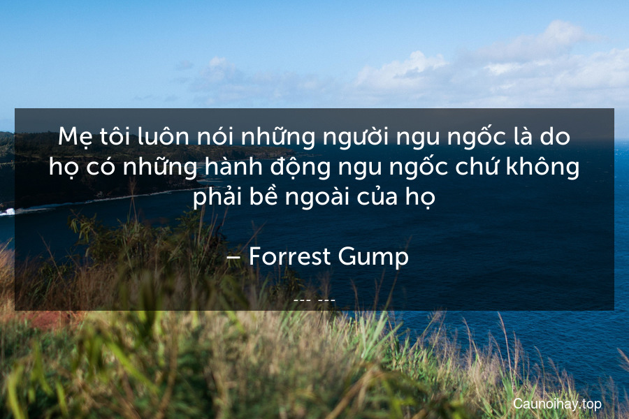 Mẹ tôi luôn nói những người ngu ngốc là do họ có những hành động ngu ngốc chứ không phải bề ngoài của họ.
 – Forrest Gump