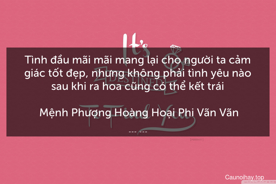 Tình đầu mãi mãi mang lại cho người ta cảm giác tốt đẹp, nhưng không phải tình yêu nào sau khi ra hoa cũng có thể kết trái.
 Mệnh Phượng Hoàng Hoại Phi Vãn Vãn