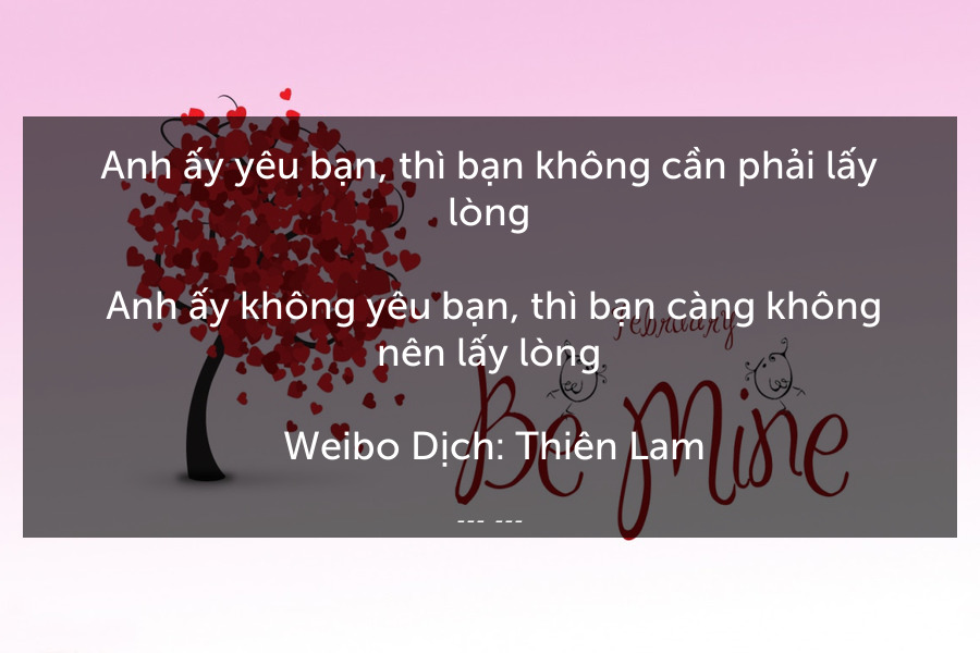 Anh ấy yêu bạn, thì bạn không cần phải lấy lòng.
 Anh ấy không yêu bạn, thì bạn càng không nên lấy lòng.
 Weibo Dịch: Thiên Lam