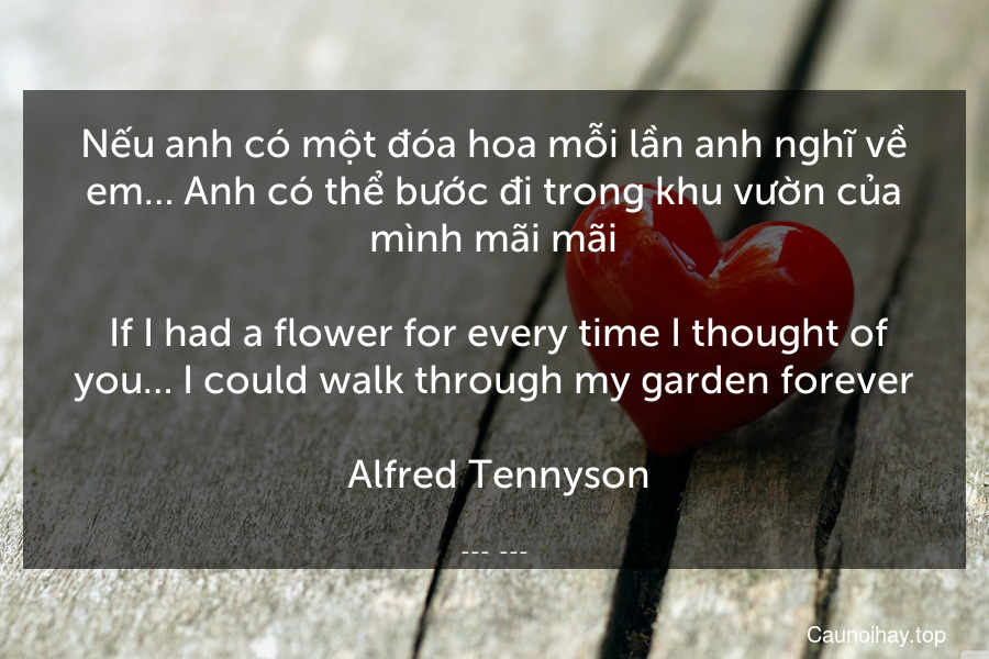 Nếu anh có một đóa hoa mỗi lần anh nghĩ về em… Anh có thể bước đi trong khu vườn của mình mãi mãi.
 If I had a flower for every time I thought of you… I could walk through my garden forever.
 Alfred Tennyson