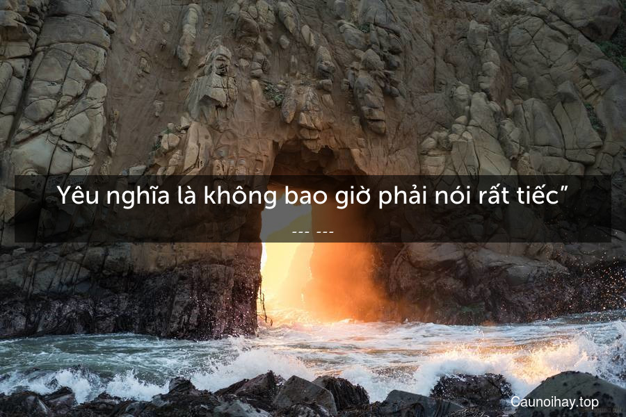 Yêu nghĩa là không bao giờ phải nói “rất tiếc”.