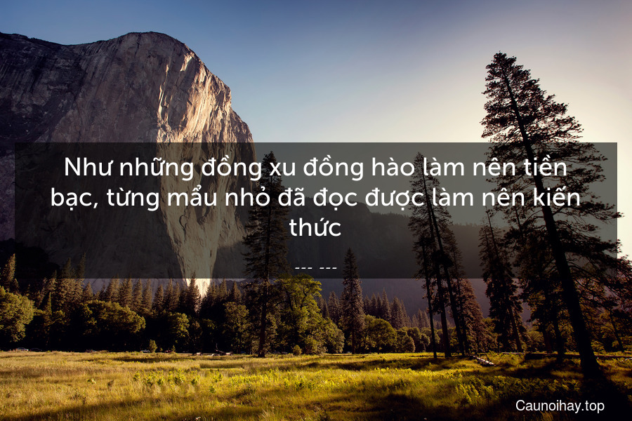 Như những đồng xu đồng hào làm nên tiền bạc, từng mẩu nhỏ đã đọc được làm nên kiến thức.